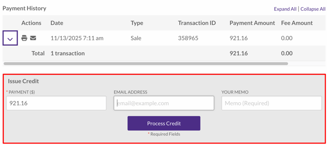 Payment-Details-Issue-Credit-Fields